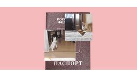Что делать если потерялся паспорт в Магнит Косметик