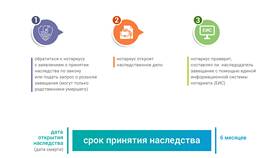 Что следует понимать под наследственным имуществом в Магнит Косметик