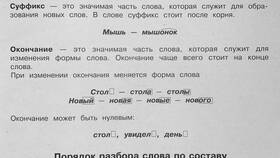 Что такое суффикс и приставка в русском языке в Магнит Косметик