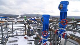 Добыча газа Газпромом в 2020 году: новые проекты в Магнит Косметик