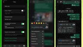 Как изменить голосовые сообщения в WhatsApp в Магнит Косметик