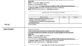 Как подтвердить уплату госпошлины в суде в Магнит Косметик