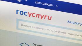 Как получить подгузники через Госуслуги в Магнит Косметик