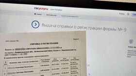 Как получить справку через портал Госуслуг в Магнит Косметик