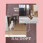 Что делать если потерялся паспорт