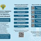 Грант и субсидия: в чем разница