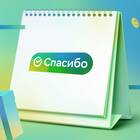 Как эффективно копить бонусы СберСпасибо