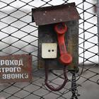 Позвонили и сказали, что завели дело: что делать