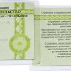 Утерян СНИЛС: что делать и как быстро восстановить