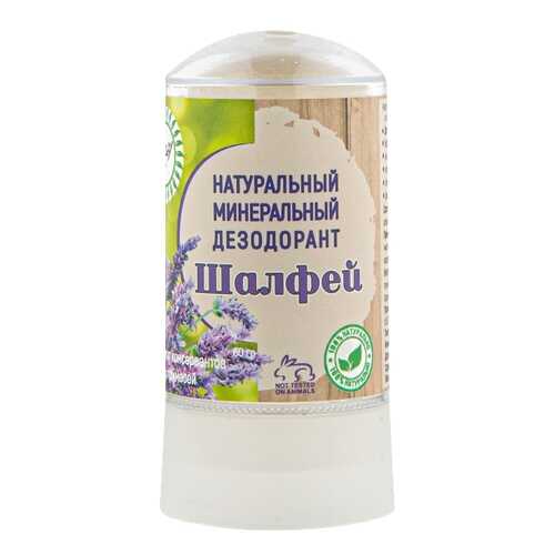 Дезодорант для тела Nice day с экстрактом шалфея, 60 гр в Магнит Косметик