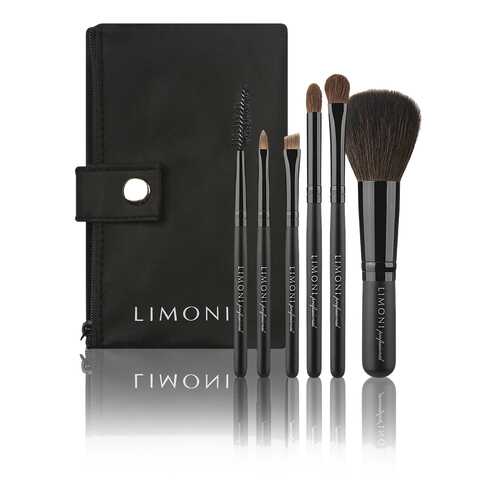 Набор кистей Limoni Professional compact Kit (5 кистей в чехле) в Магнит Косметик