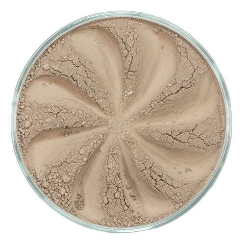 Тени для век era minerals Twinkle T02 1 г в Магнит Косметик