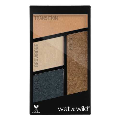 Тени для век Wet n Wild Color Icon Eyeshadow Quad E343b Hooked On Vinyl 4,5 г в Магнит Косметик