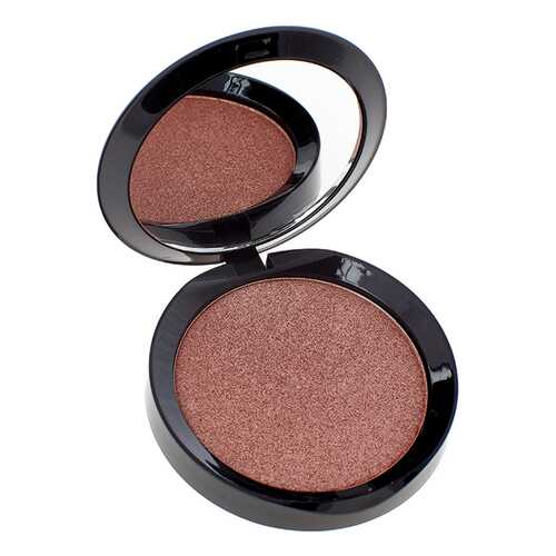 Хайлайтер PuroBio Resplendent Highlighter 04 Golden Pink 9 гр в Магнит Косметик