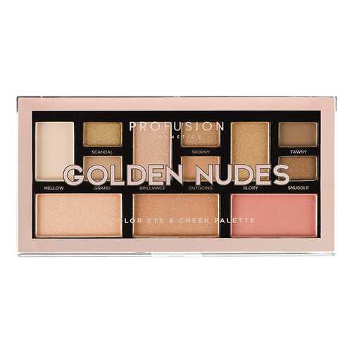 Набор для макияжа PROFUSION Golden Nudes Color Eye & Cheek Palette в Магнит Косметик