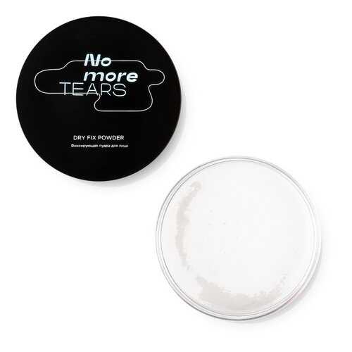 Пудра для лица Mixit No more tears Dry Fix Powder фиксирующая 10 г в Магнит Косметик