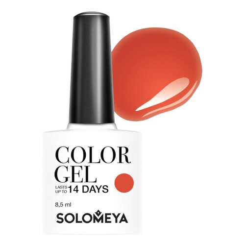 Гель-лак для ногтей Solomeya Color Gel Мина в Магнит Косметик