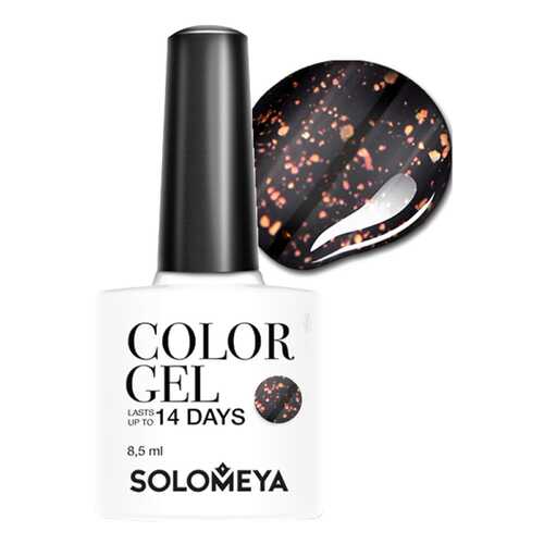 Гель-лак Solomeya Color Gel Галактика в Магнит Косметик