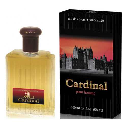 Одеколон Parfums Eternel Cardinal 100 мл в Магнит Косметик