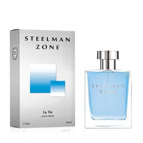 Туалетная вода Dilis Parfum Steelman Zone 100 мл в Магнит Косметик