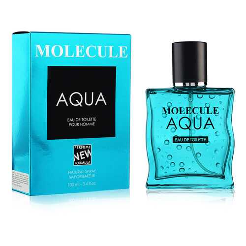 Туалетная вода для мужчин ПАРФЮМЕРИЯ XXI ВЕКА Molecule Aqua в Магнит Косметик