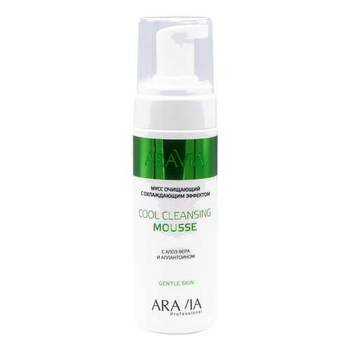 Мусс Aravia Professional Cool Cleansing Mousse 160 мл в Магнит Косметик