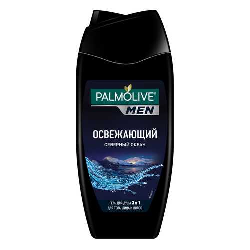 Гель для душа Palmolive Северный океан Мужской 250 мл в Магнит Косметик