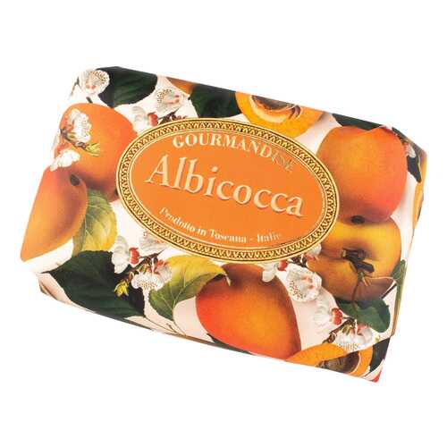 Косметическое мыло Gourmandise Savon Parfume Albicocca 200 г в Магнит Косметик