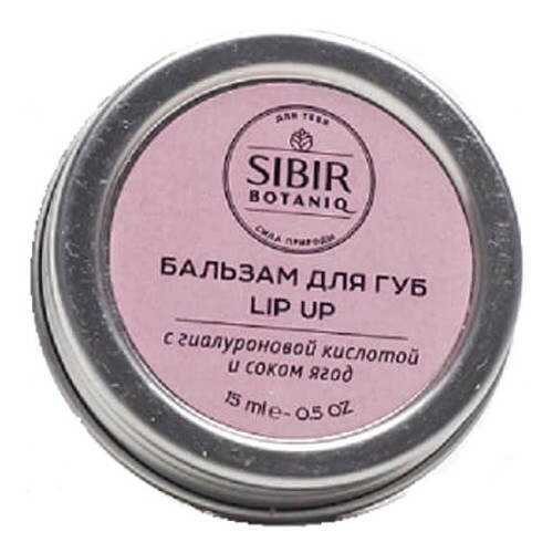 Бальзам для губ Lip Up с гиалуроновой кислотой Sibirbotaniq, 15 мл в Магнит Косметик