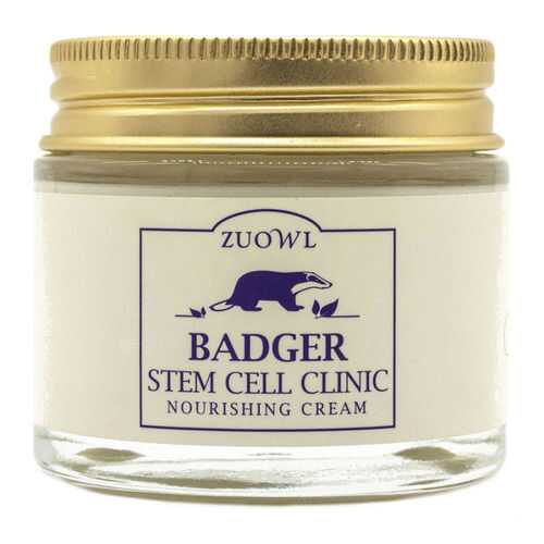 Крем для лица JUNO Badger Stem Cell Clinic Nourishing Cream 80 г в Магнит Косметик