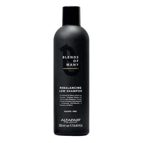 Шампунь Alfaparf Milano Rebalancing Low Shampoo 250 мл в Магнит Косметик