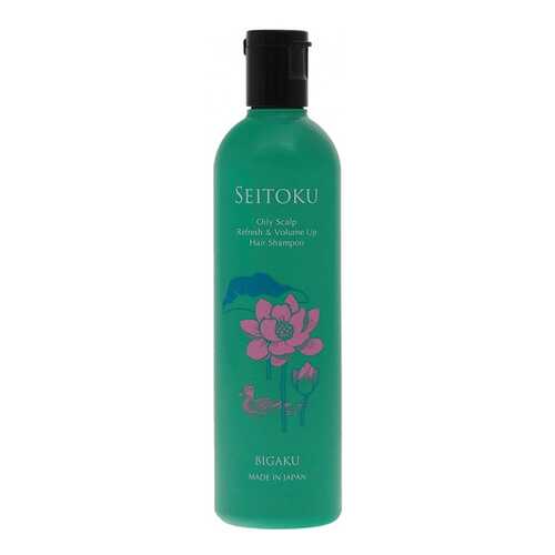 Шампунь BIGAKU Oily Scalp Refresh&Volume Up Hair 330 мл в Магнит Косметик