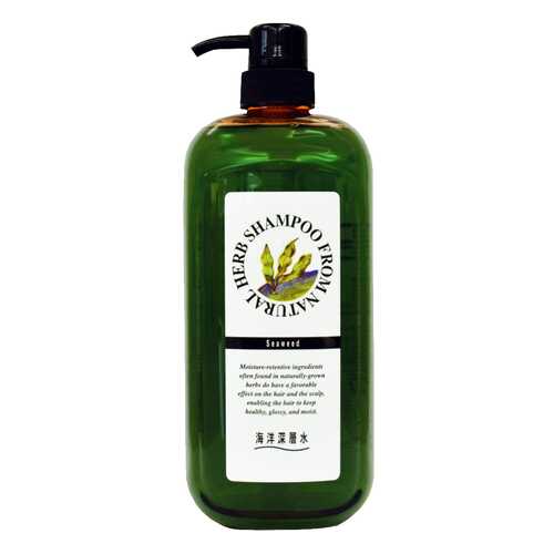 Шампунь Junlove Natural Herb Shampoo С экстрактом бурых водорослей 1000 мл в Магнит Косметик